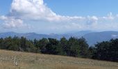 Trail Walking Beaumont-du-Ventoux - Crêtes du Ventoux  - Photo 6