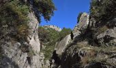 Tour Wandern Utelle - Madone d'Utelle par le Cros d'Utelle, près collet Huesti - Photo 3