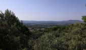 Tour Wandern Mérindol - Les gorges de regallon à partir de Merinol - Photo 18