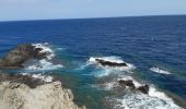Trail Walking Port-Vendres - port vendre . cap bear / retour  - Photo 6