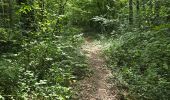 Excursión Senderismo Soisy-sur-École - Soizy-sur-Ecole - La Padole - Photo 12