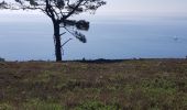 Trail Walking Crozon - FINISTÈRE-  CAP de la CHÈVRE  - Photo 8
