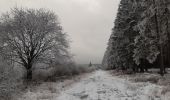 Tocht Stappen Malmedy - hommage à ma mère  - Photo 11