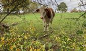 Randonnée Marche Durbuy - Bois et champs.  - Photo 2