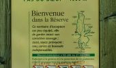 Tour Wandern Saint-Agnan-en-Vercors - Les Rancs de Charles - Vercors - La Coche - Photo 20