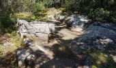 Randonnée Marche Barjac - barjac dolmens avens - Photo 5