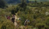 Trail Walking Caussols - CAUSSOLS-Les plateaux de Calern et de Caussols-MBO - Photo 7