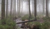 Trail Walking Malmedy - Cascade de Bayehon  - Photo 4