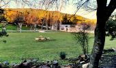 Trail Walking Le Revest-les-Eaux - Boucle Ripelle - Mont Combes - Tourris - Ripelle - Photo 2