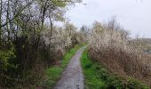 Tocht Stappen Luik - liege st lambert versant gauche entre ville et nature  - Photo 17