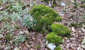 Percorso Marcia Signes - Plateau de la Limate en partant de Siou Blanc - Photo 1