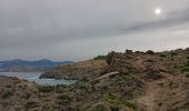 Tocht Stappen Port-Vendres - anse des paulliles - cap bear via les vignes retour par le chemin côtier - Photo 8