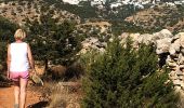 Trail Walking Πρόδρομος - Prodromos - Lefkes A-R par la « Route Byzantine «  - Photo 3