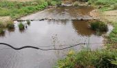 Randonnée Marche Ladignac-le-Long - Ladignac le long les deux forêts  - Photo 2