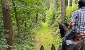 Trail Horseback riding Soucht - Urtzviller - Photo 4