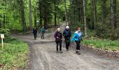 Tour Wandern Nassogne - Grune - Photo 3