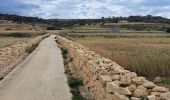 Tour Wandern Marsaxlokk - MALTE 2024 / 05 Marsaxlokk to Marsaskalla - Photo 4