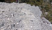 Randonnée Marche Oppedette - Gorges d'Oppedette - Photo 14