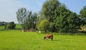Trail Walking Blegny - A la découverte de Housse 🥾 - Photo 4