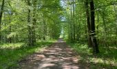 Randonnée Marche Compiègne - en Forêt de Compiègne_50_les Routes des Beaux Monts, de Morpigny et des Nymphes - Photo 8