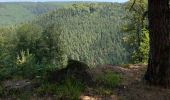 Tour Mountainbike Ostwald - Sortie vttball - Photo 17