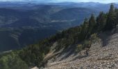 Trail Trail Beaumont-du-Ventoux - Ventoux-05072020 - Photo 6