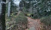 Randonnée Marche Cleurie - cleurie-la charmes-roches du thin-col du singe - Photo 12