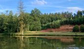 Percorso Equitazione Lambach - Promenade autour de Bitche - Photo 10