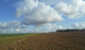 Tour Wandern Pont-Saint-Pierre - 20231024-Pont-St-Pierre - Photo 12