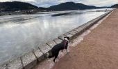 Randonnée Marche Gérardmer - Tour du lac de Gerardmer - Photo 7