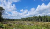 Tour Wandern Viroinval - rando oignies 15 -08-2023 - Photo 1