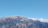 Tour Wandern Vélez-Málaga - Tour de la Atalaya et Stupa Karmen Guen - Photo 12