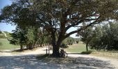 Percorso Mountainbike Remoulins - Remoulins - Pont du Gards - Photo 5