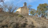 Tocht Stappen Lurs - LURS .Chapelle  notre Dame du Plan , S Pierre o l - Photo 9