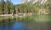Trail Walking Prags - Braies - lac de braies 1112m 20kms  - Photo 2