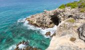 Tour Wandern Saint-François - Guadeloupe - Pointe des Châteaux (2024) - Photo 4