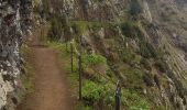 Tour Wandern Machico - Madère : du tunnel de Caniçal à Porto da Cruz - aller en bus - Photo 15