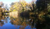 Tour Zu Fuß Unbekannt - Naturlehrpfad obere Lobau (Saltenstraße Rundweg) - Photo 6