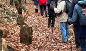 Trail Walking Ottignies-Louvain-la-Neuve - #221229 - Limauges > Céroux-Mousty - Photo 7