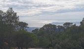 Trail Walking Toulon - Boucle Faron - Photo 8