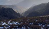 Tour Wandern Woll - sentier de névé  le hohneck - Photo 8