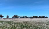 Tour Wandern Villeneuve-lès-Maguelone - cathédrale de Maguelone  - Photo 1