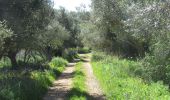 Tocht Te voet Paderne - Percurso do Cerro Grande - Photo 6