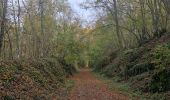 Tocht Stappen Hotton - Ny à travers bois et chemins de campagne - Photo 4