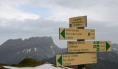 Trail Walking Les Houches - Parc Animalier Merlet - Chalets de Chailloux - Aiguillettes des Houches - Photo 6