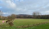 Tocht Stappen Chaumont-Gistoux - Dion-le-Val Bonlez - Photo 4