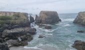 Excursión Senderismo Sauzon - Belle île les Poulains grand phare 18 mai 2022 CA  - Photo 12