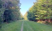 Trail Walking Spa - berinzenne fleurie - Photo 8