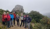 Tocht Stappen Plan-d'Aups-Sainte-Baume - Tour Cauvin, dents de Roque forcade ,Grande baume - Photo 3