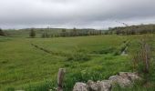 Tour Wandern Marchastel - [06] Compostelle : de Marchastel / Nasbinals à Saint-Chély-d'Aubrac - Photo 4